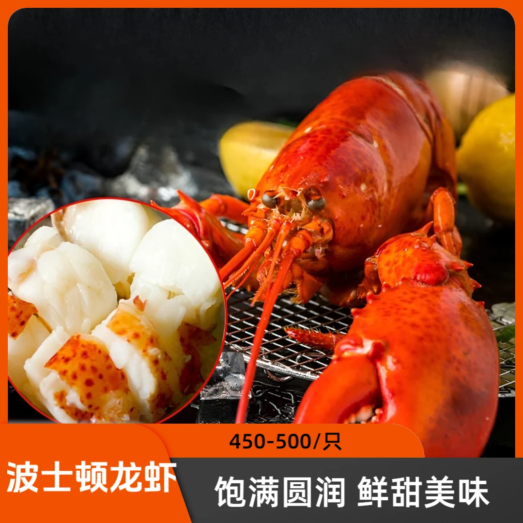 450-500g/只熟冻波士顿龙虾锁鲜活接送礼海鲜
