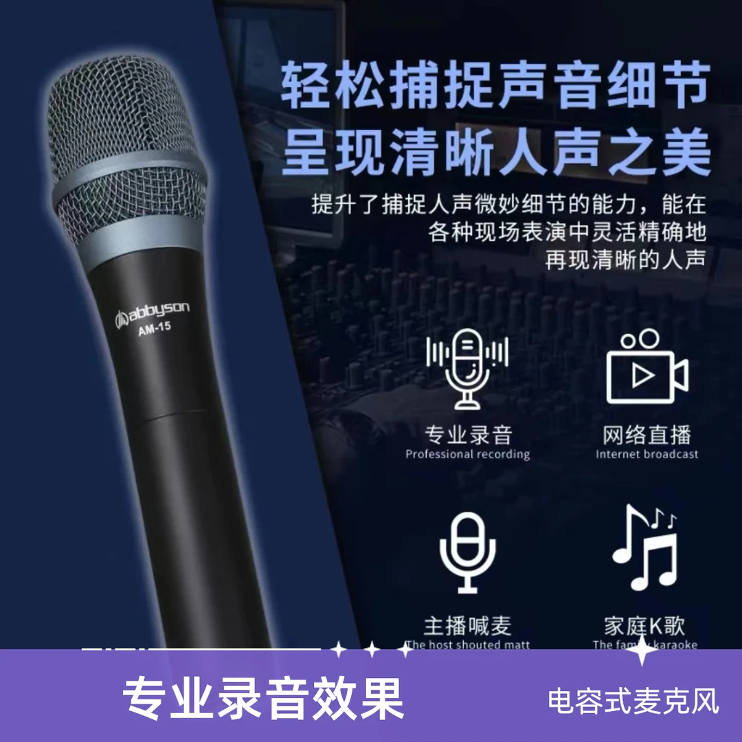 艾博逊 AM-15 电容麦48v 专业录音 网络直播 主播喊麦 家庭K歌