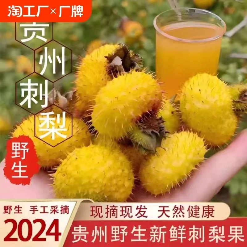 2025贵州新鲜野生刺梨果金刺梨晒干泡水原料天然VC水果现摘现发
