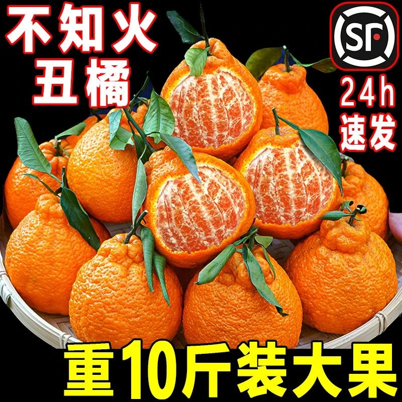 正宗四川不知火丑橘10斤当季新鲜水果杷杷丑八怪水果发货现货酸甜