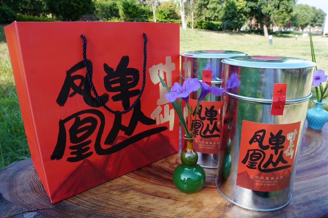 锯朵仔单丛茶凤凰茶潮州特产手信礼品