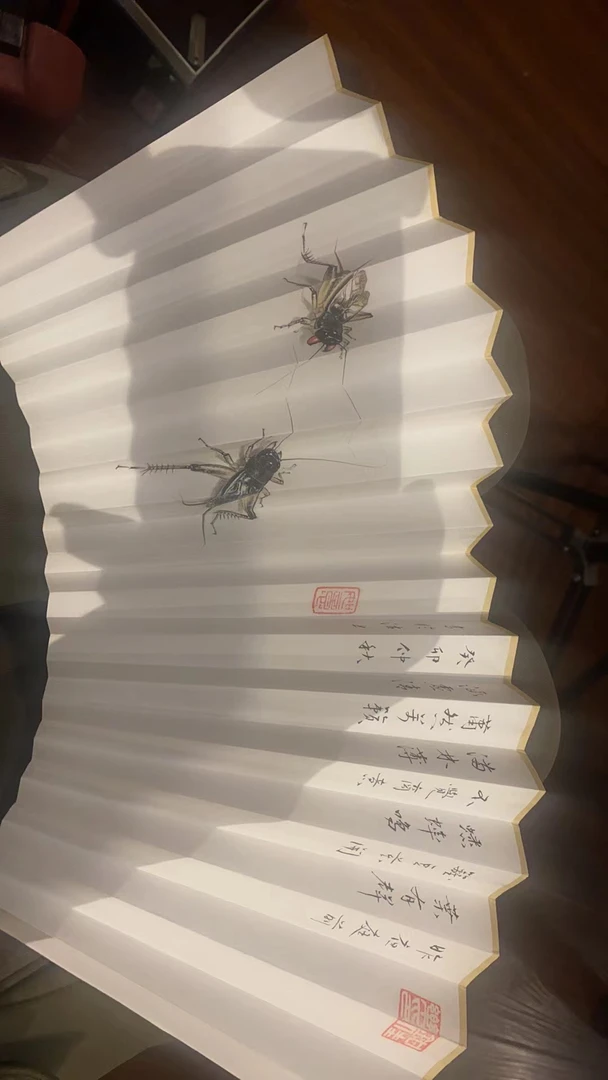 强哥甄选直播间摆件