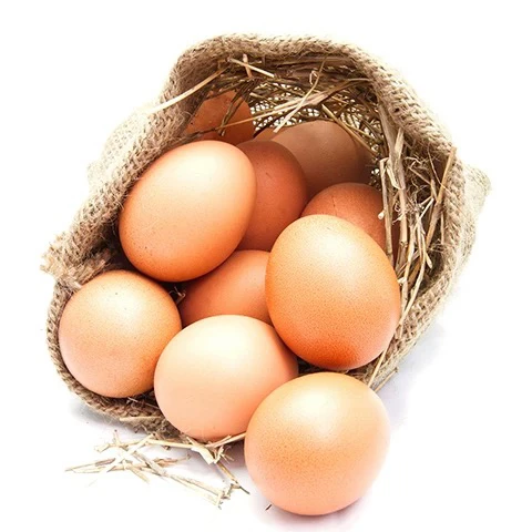 岔河散养土鸡蛋