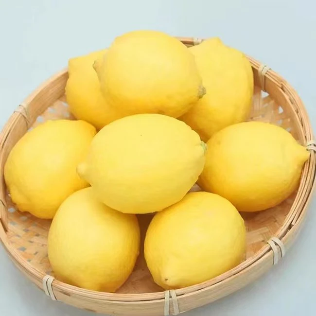 【优质品质】正宗安岳黄柠檬当季柠檬皮薄酸爽爆汁3/5/9斤大果180g+