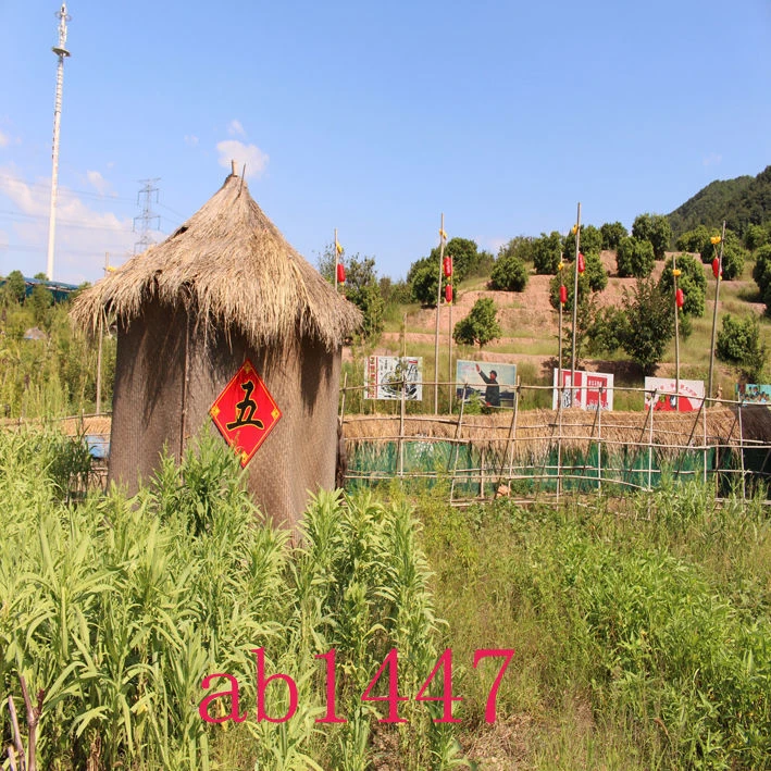 主播直播间背景布农村砖房山水田园户外景网红视频装饰墙农村背景