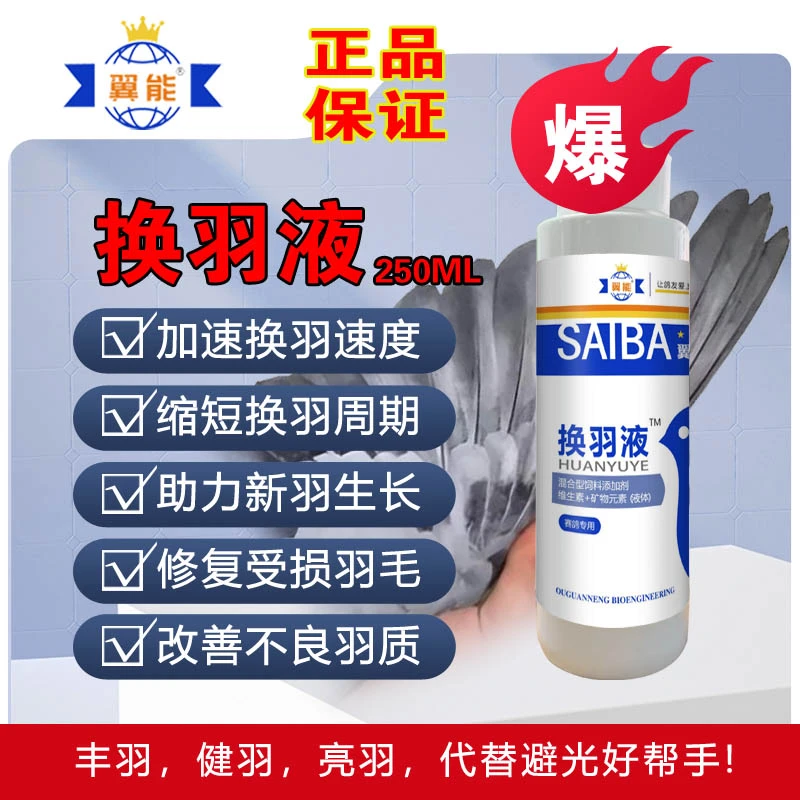 换羽液加速赛鸽换羽