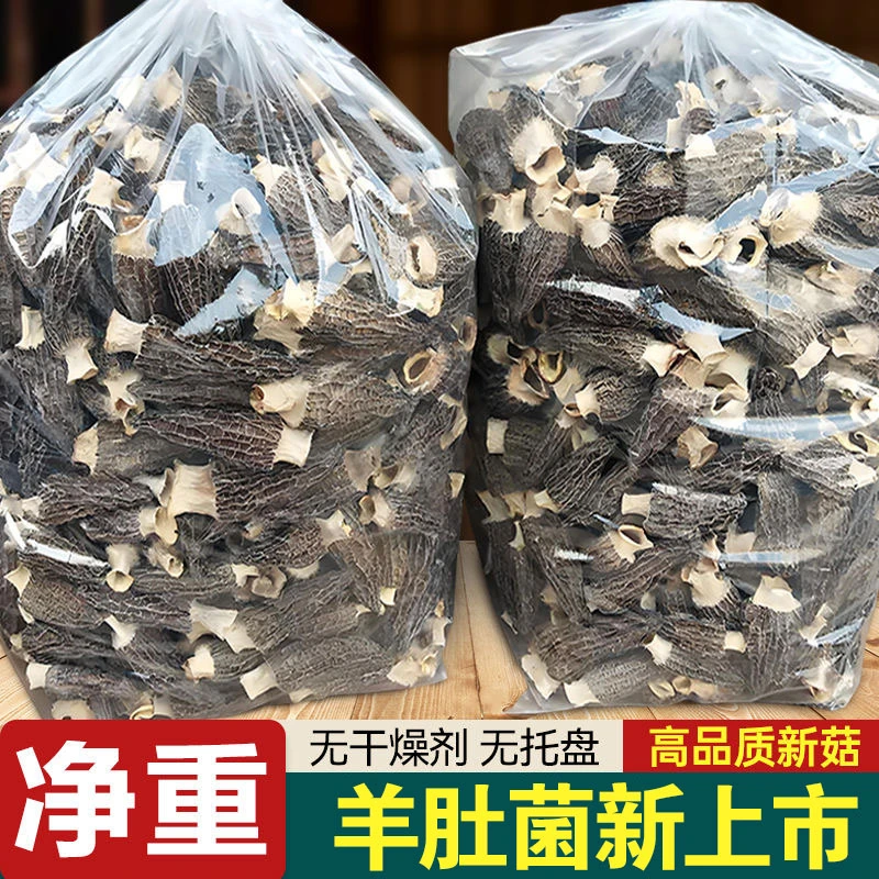 头茬新货羊肚菌云南高原羊肚菌肉厚无沙营养煲汤滋补佳品美味肉质