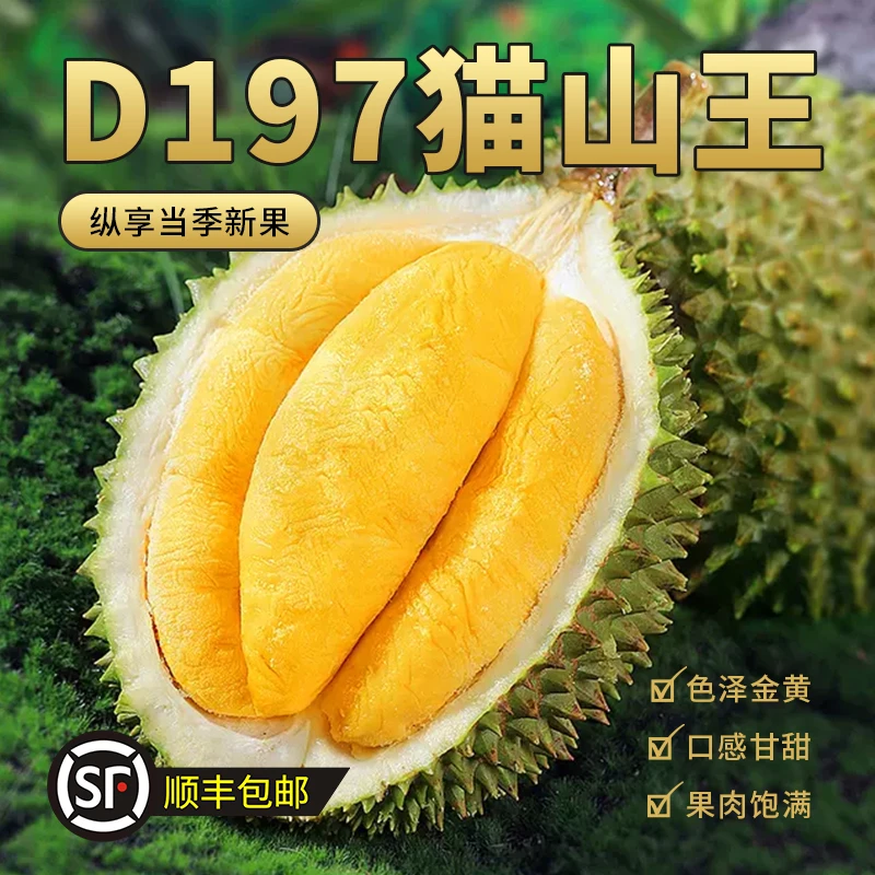 （一物一拍）A猫山王d197马来西亚液氮冷冻树熟榴莲