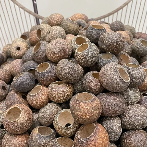 【驱风油香】2020小青柑盏陈皮柑壳盏陈皮果壳干仓生晒