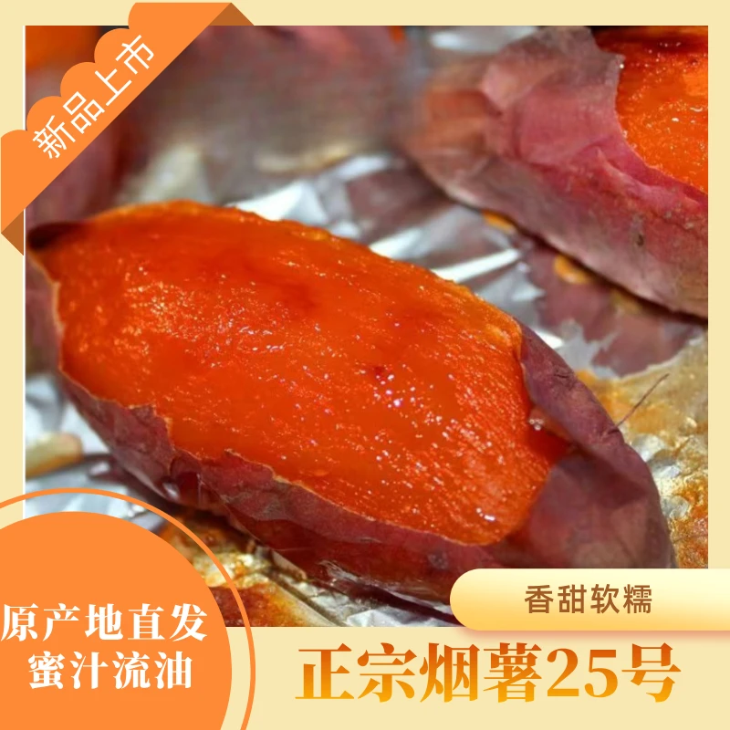 【5斤】烟薯25号蜜薯稀软流油饶阳原产地直发新鲜烤地瓜流蜜烤红薯