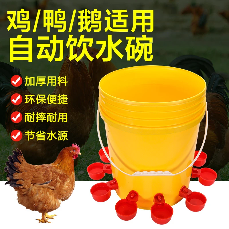 养鸡用自动饮水器鸡鸭鹅饮水碗喝水碗鹌鹑家禽鸟小鸡喂食神器养殖
