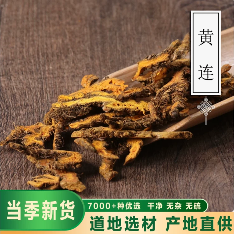 骞诺药业【黄连】黄莲 高品质四川 新货鸡爪黄连泡茶黄莲可磨黄连粉