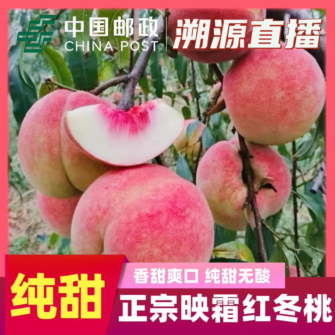 映霜红冬桃雪桃脆甜多汁新鲜水果红丝绒雪桃