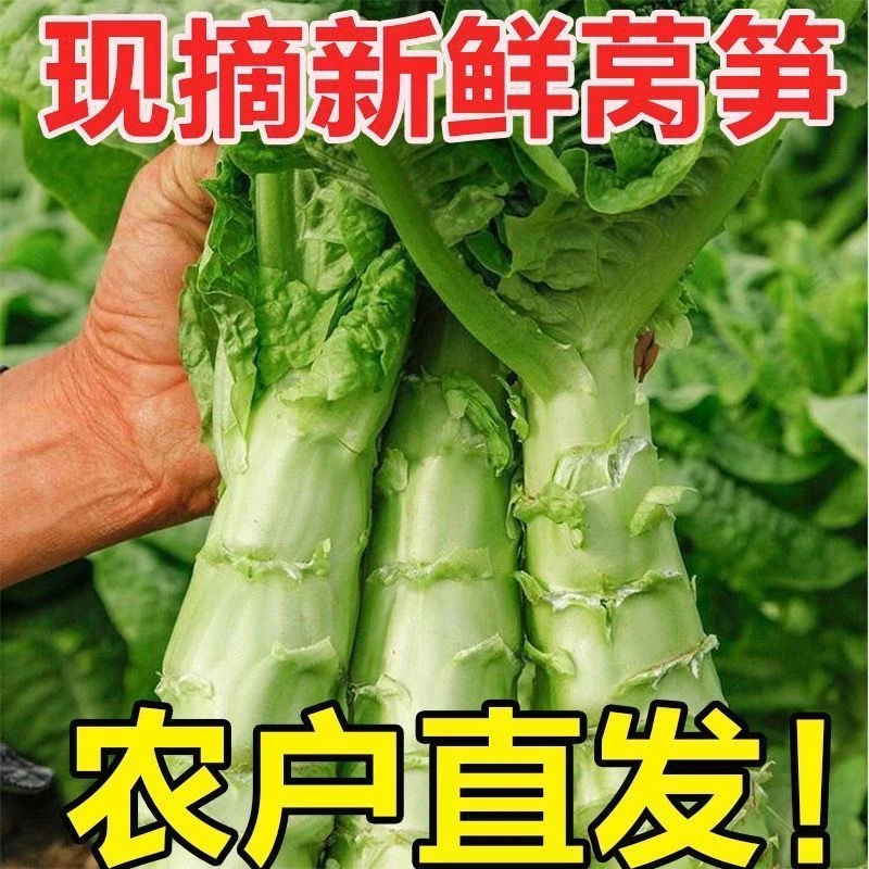 【京东冷链】农家妈妈现挖现发3斤新鲜莴笋青笋莴苣笋多肉素叶蔬菜