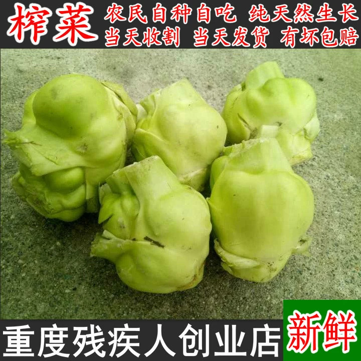 都江堰农家菜园纯天然露天蔬菜新鲜农家自种榨菜头青菜头菜疙瘩菜