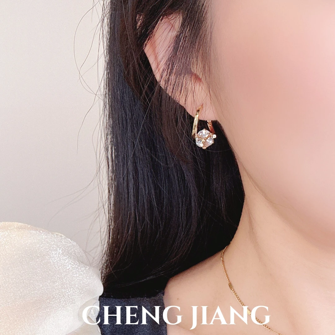 铜合金耳饰 闪闪耳圈耳扣潮耳钉耳坠小众设计感高级气质爆款耳饰