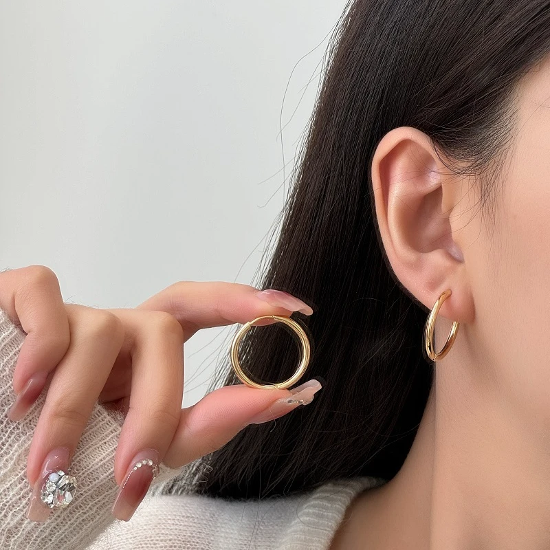 铜合金耳饰 高端耳环925银针2024爆款高级感轻奢气质大圈素圈耳环