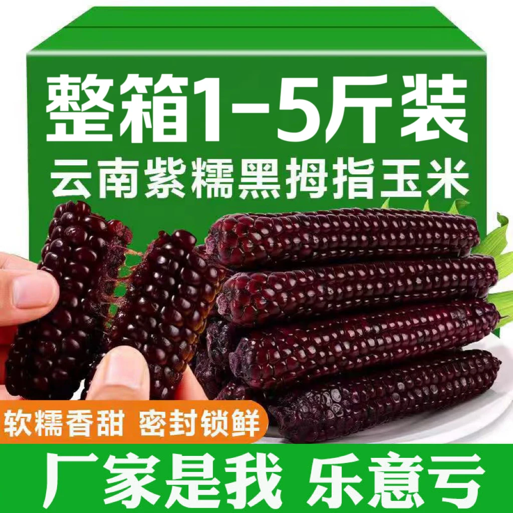 紫金黑糯拇指小玉米真空锁鲜宝宝儿童早餐代餐香糯紫糯手指小玉米