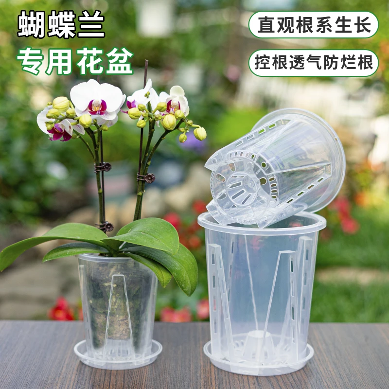 蝴蝶兰专用花盆透明青山控根盆兰花水苔透气镂空家用花盆