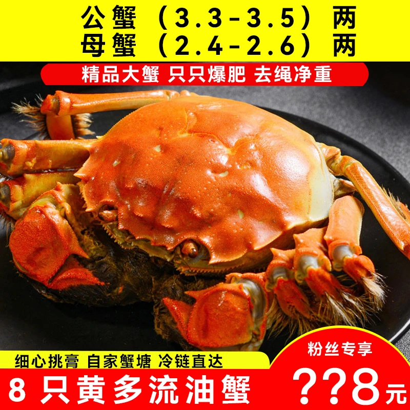 【活蟹】江苏大闸蟹公蟹3.5-3.3两+母蟹2.6-2.4两8只+2只冷链直达