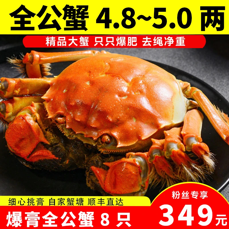 【现货现发】全公蟹5.0两爆膏流油兴化大闸蟹共8只养殖活蟹冷链直达