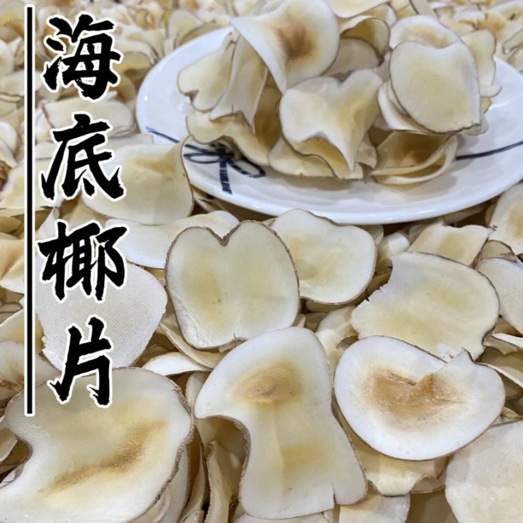 海底椰