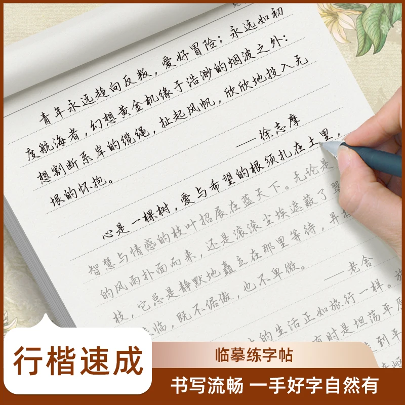 行楷字帖高中生练字成年人男生漂亮大气字体临摹文案手写体小野草