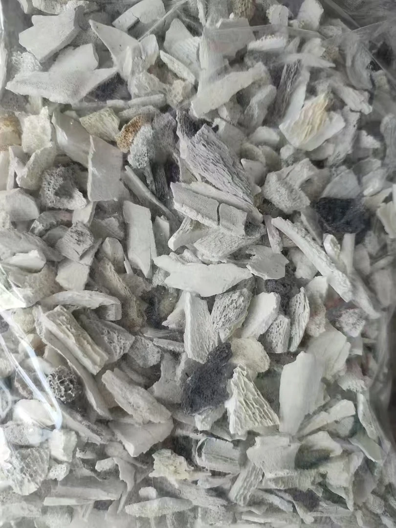 【8mm-12mm以上】一斤 中颗粒  君子兰钙磷钾专用牛骨