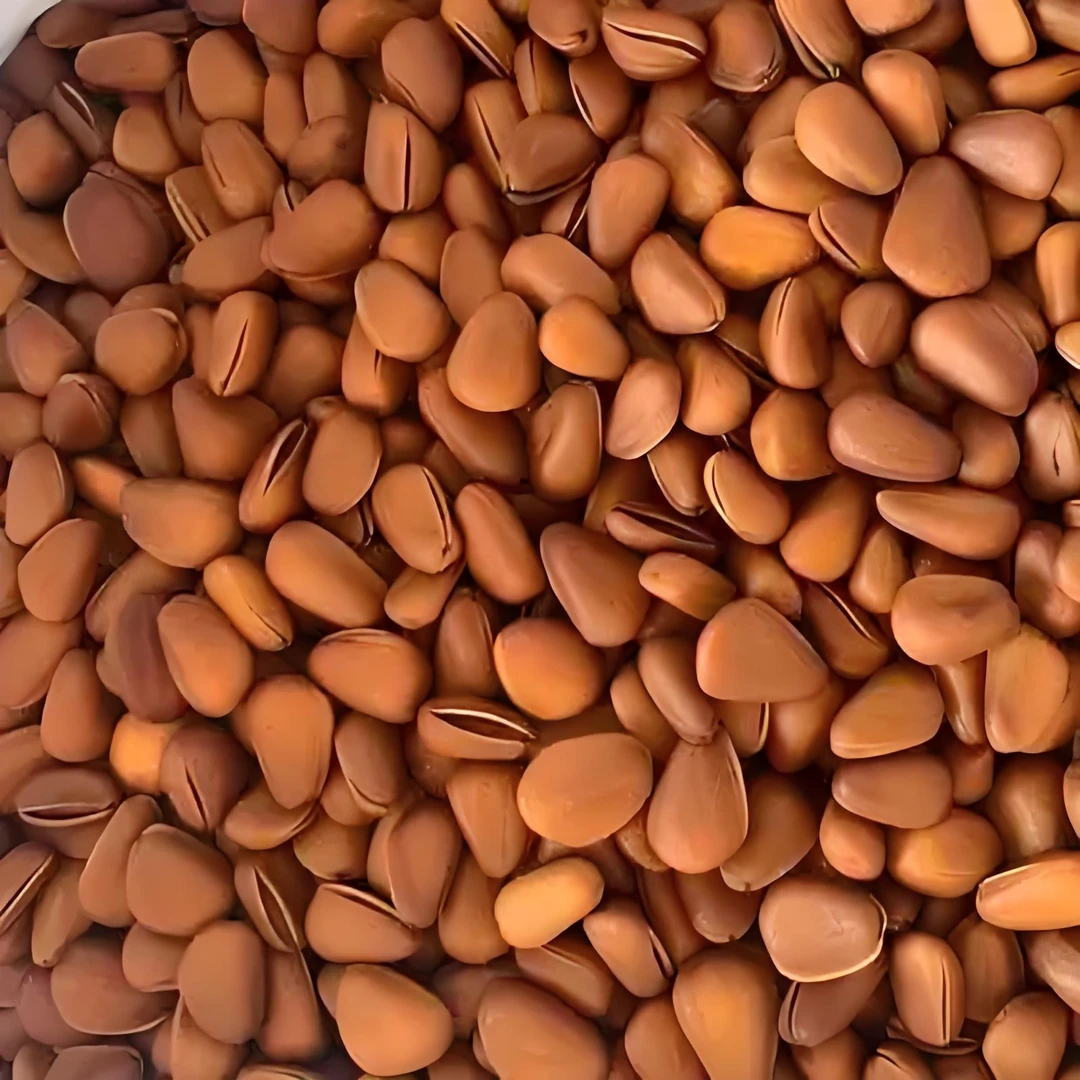 东北开口松子大颗粒饱满