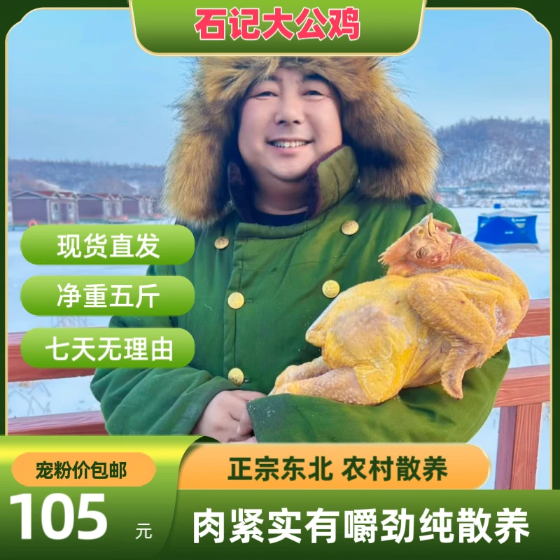 生态农家散养大公鸡、走地鸡、溜达鸡、笨公鸡、鸡肉、笨鸡肉、烤鸡紧实