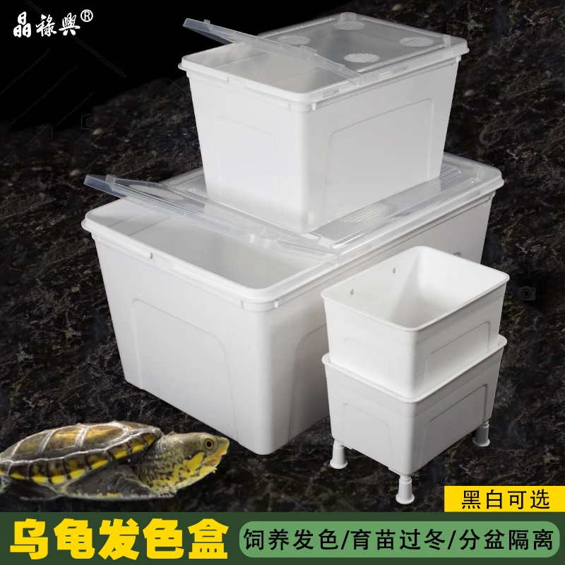 小乌龟育苗隔离发色盒黑白色大号饲养缸蛋剃刀麝香分离专用保温箱