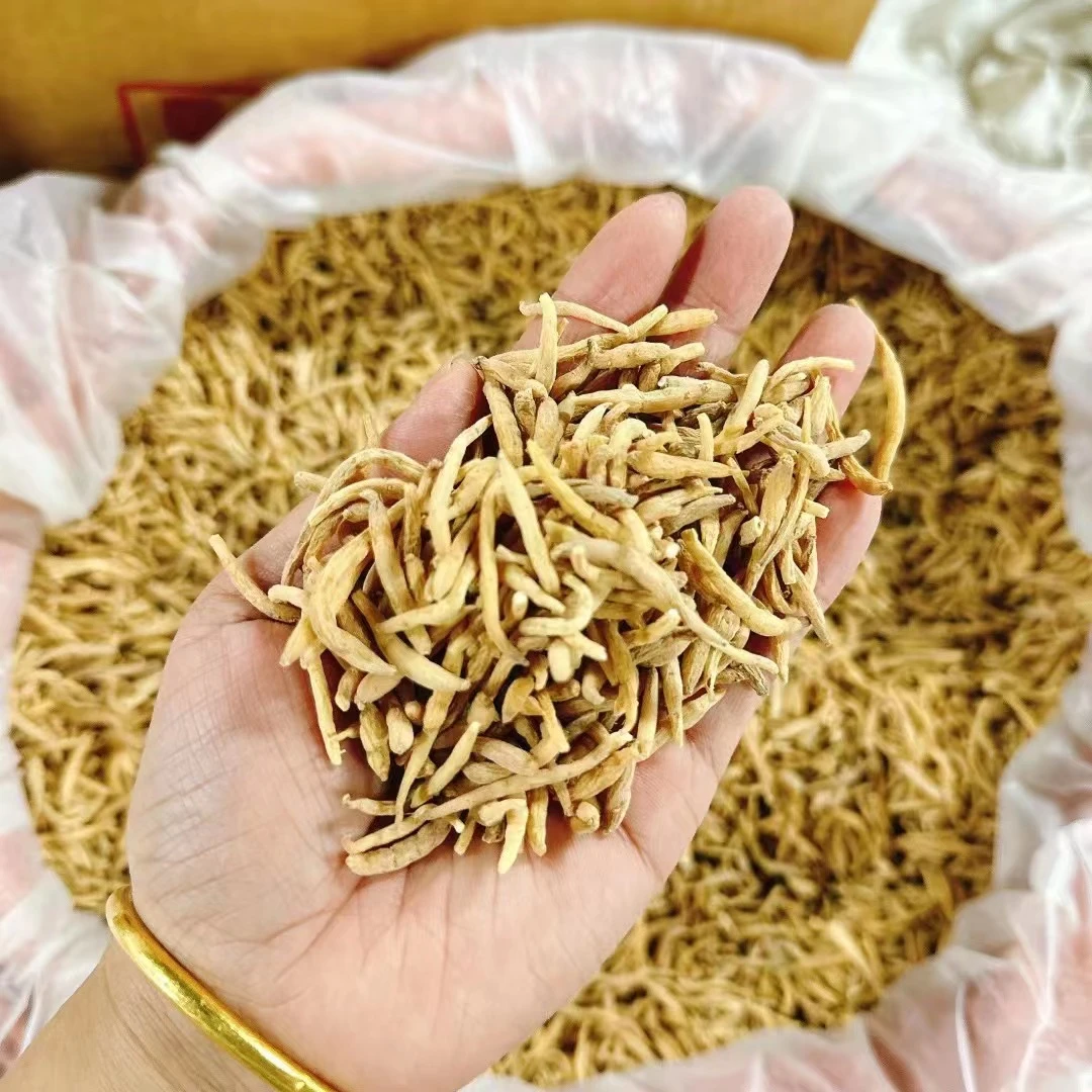 御膳 孩儿参 广东汕头(胶)