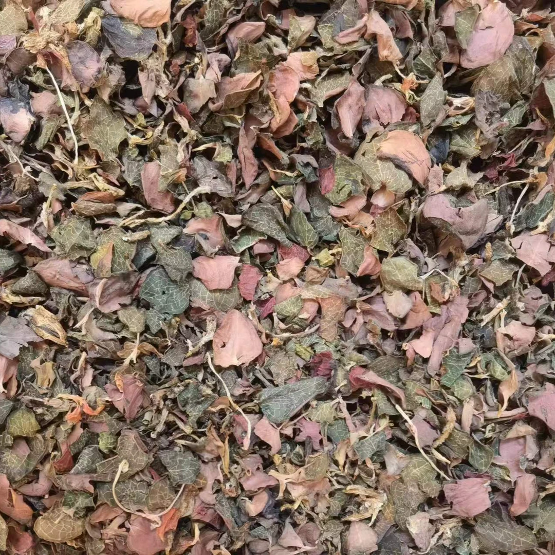 御膳 金线莲（叶子）