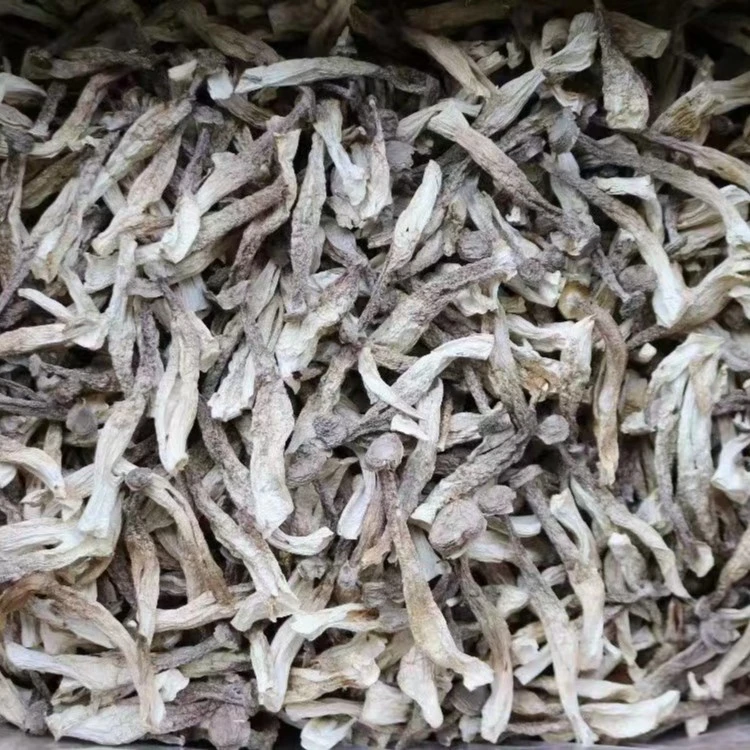 御膳  鹿茸菌100g-500g 广东汕头