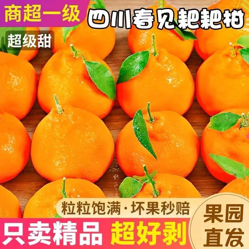 四川春见耙耙柑新鲜当季水果清甜爆汁桔子橘子正宗丑柑整箱粑粑柑