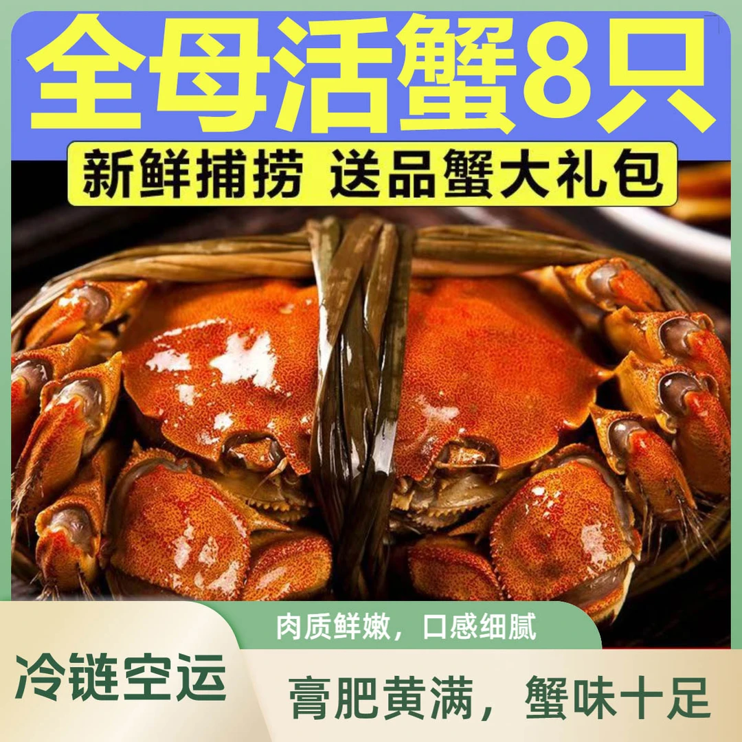 【活蟹现发】苏州清水阳澄镇大闸蟹全母3.1-2.8两8只冷链空运发货