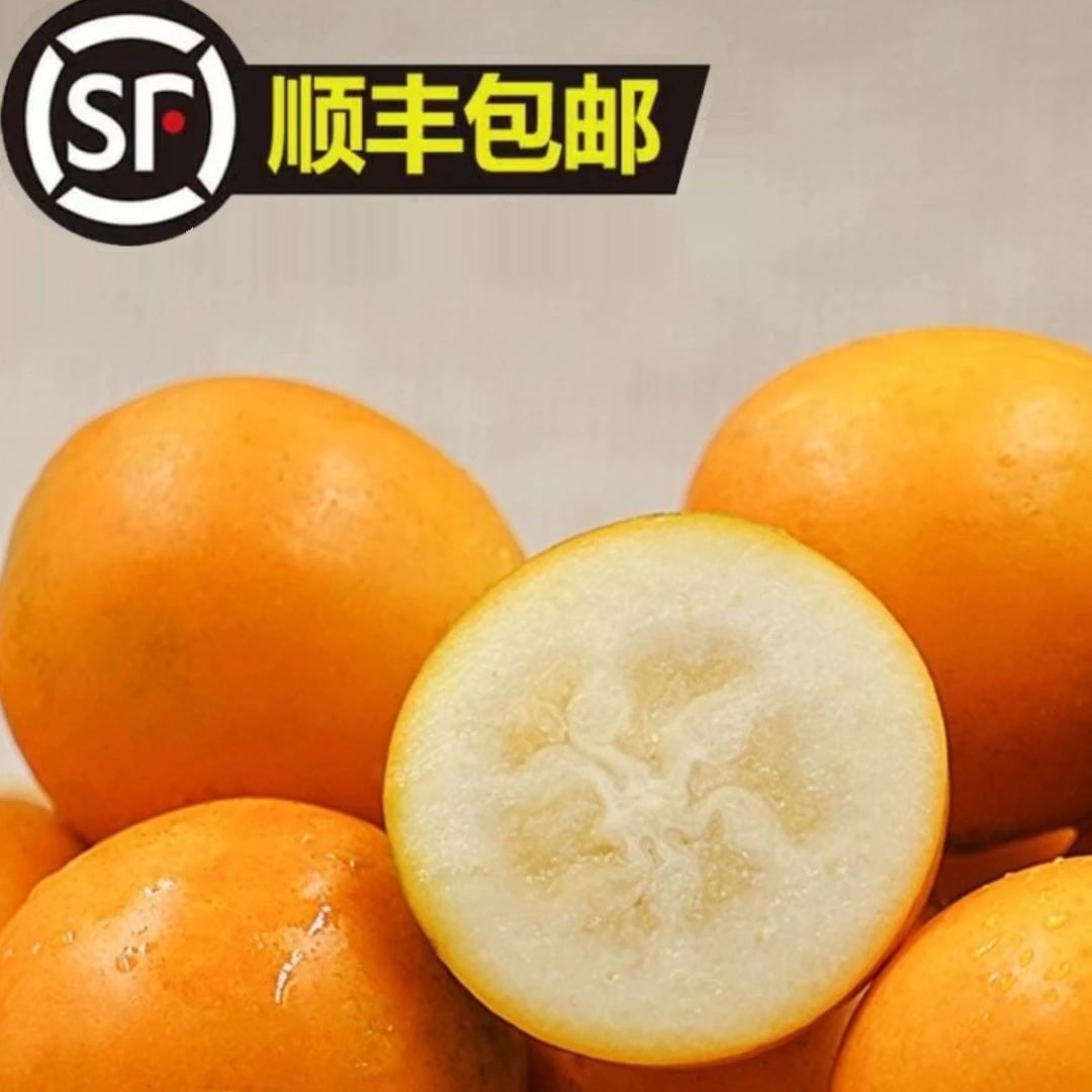 【顺丰直发】第三代脆蜜金桔  脆皮冰糖心 爽口爆汁 3/5斤装！
