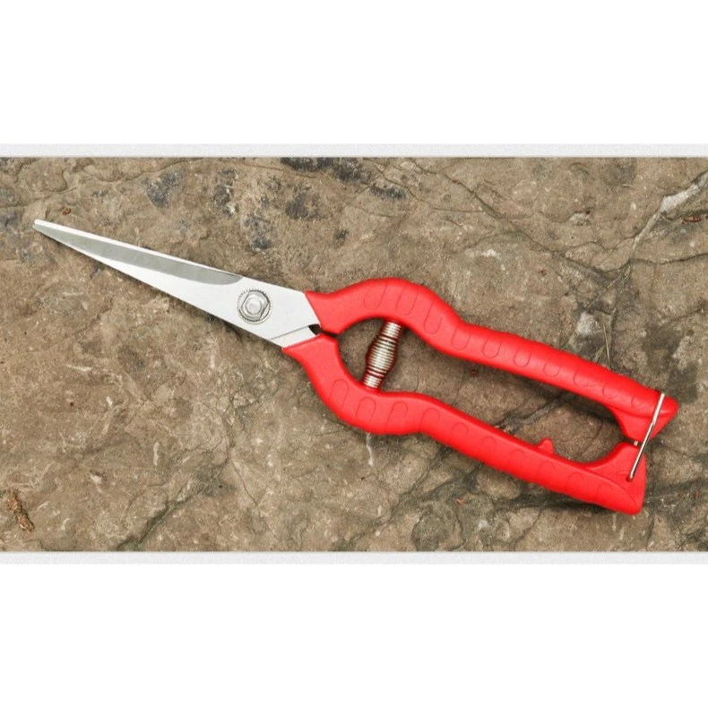 台湾佐川田905不锈钢小枝剪叶芽剪