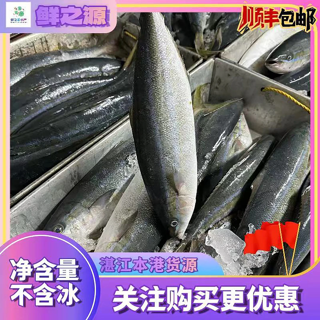 【湛江直发】野生深海海捕拉伦鱼 番薯鱼 刺身鱼 原条发货 顺丰包邮