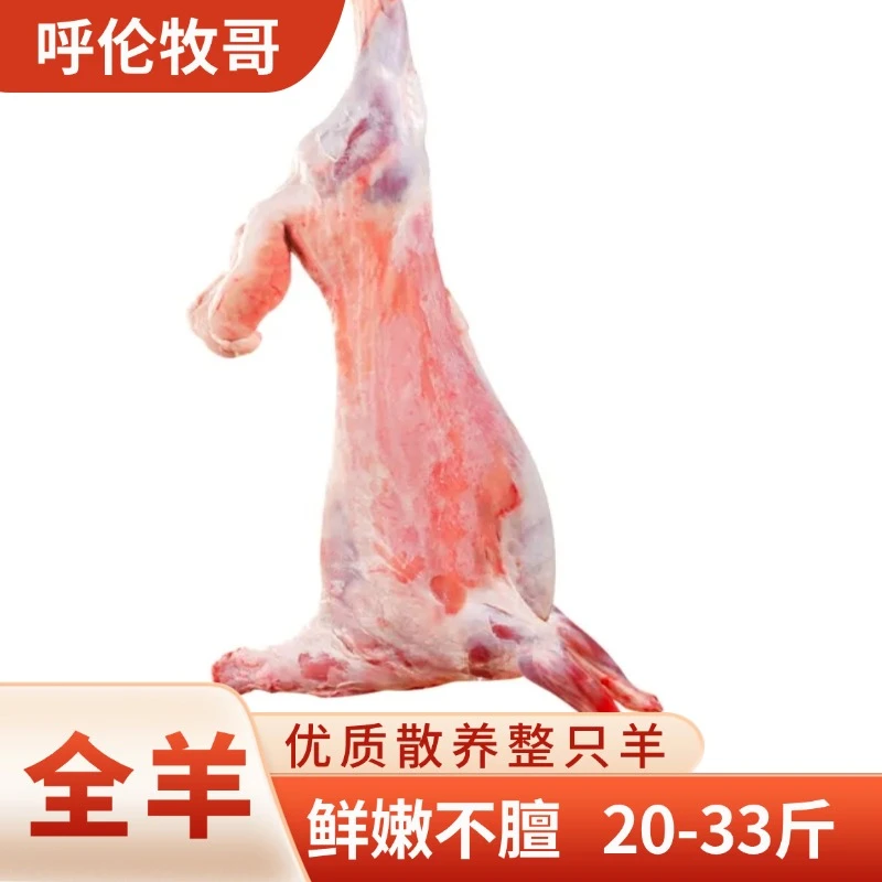 整羊（清真草饲）内蒙古呼伦贝整羊正宗草地散养