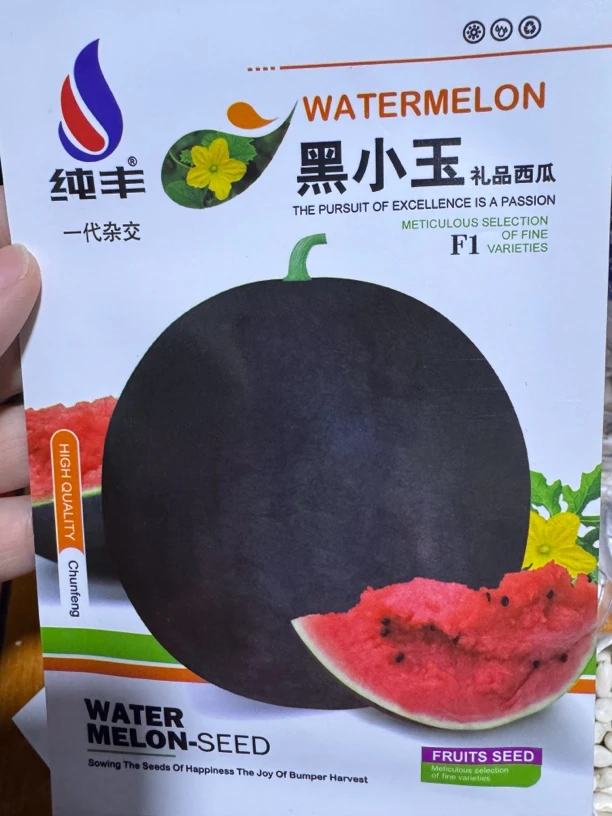 黑小玉黑皮红瓤西瓜菜籽