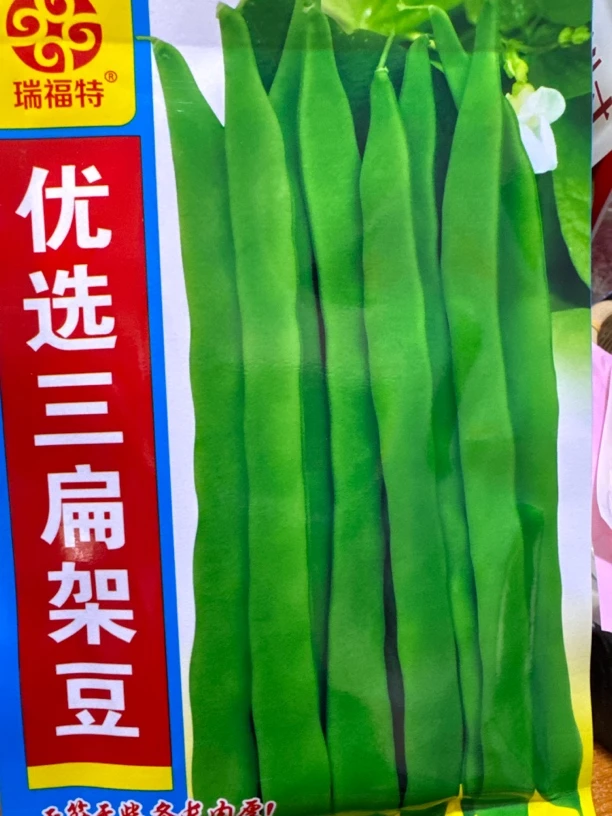 三扁豆角籽（种籽）