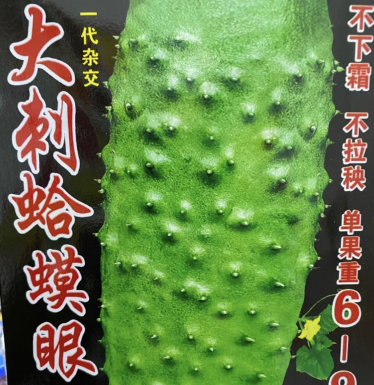 蛤蟆眼5克黄瓜籽