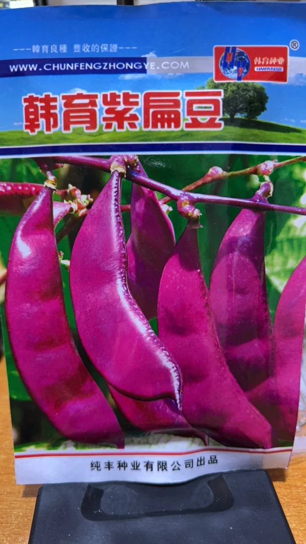 紫扁豆籽拍一发二