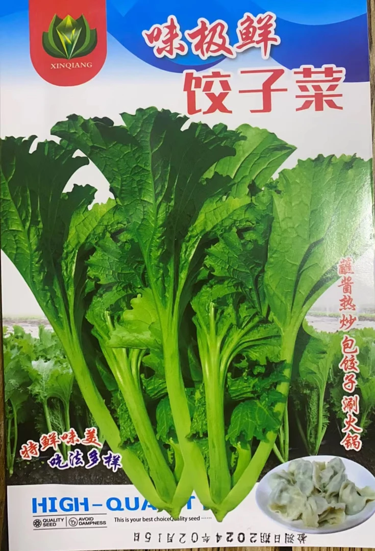 饺子菜菜籽嘎嘎好吃