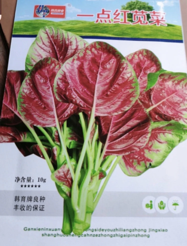 一点红苋菜籽10克