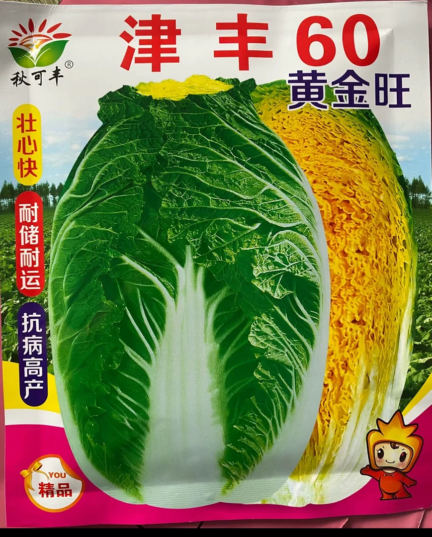 津丰60黄金旺白菜20克