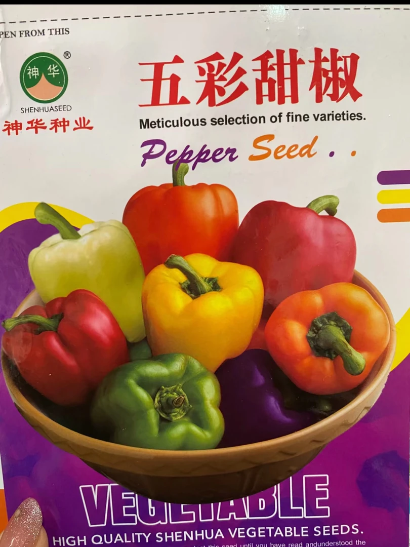 五彩大辣椒籽100粒