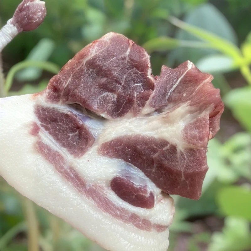 生态养殖跑山土黑猪肉