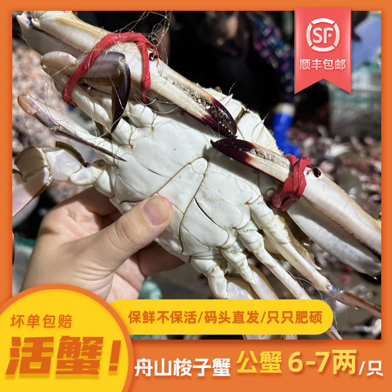 【保鲜不保活】优选舟山梭子蟹 公蟹 三斤（单只6-7两）顺丰 YL.